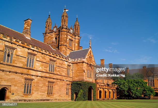 university of sydney - sydney university stock pictures, royalty-free photos & images