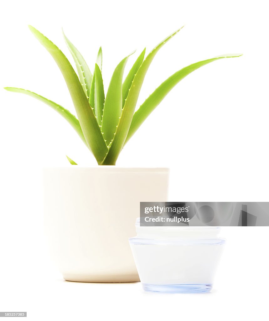 Aloe vera moisturizer