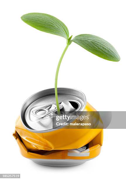 recyclage. jeune pousse dans une boîte. - plants white background photos et images de collection