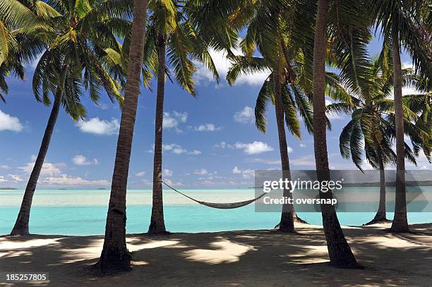 idyll la polinesia - rarotonga fotografías e imágenes de stock