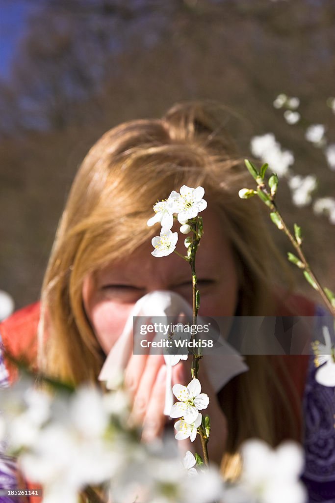 Pollen Allergy