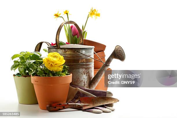 gardening - tuinhandschoen stockfoto's en -beelden