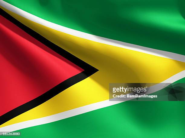 close-up de bandeiras da guiana - guyana - fotografias e filmes do acervo