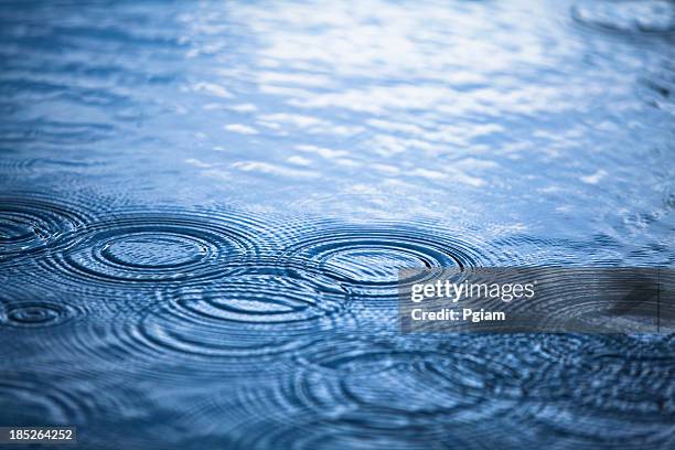 rainy day droplets in a puddle - rain puddle stock pictures, royalty-free photos & images