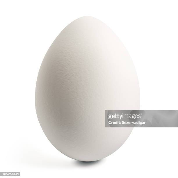 white egg - animal egg stock pictures, royalty-free photos & images