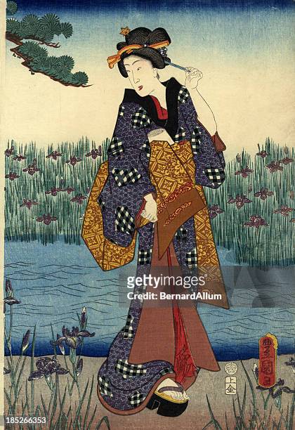 traditional japanese woodblock female by pond - geisha japan stock illustrations