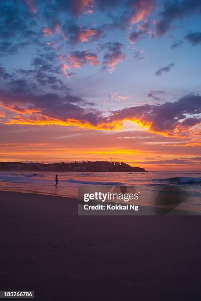 praia de bondi-sunrise - bondi beach imagens e fotografias de stock