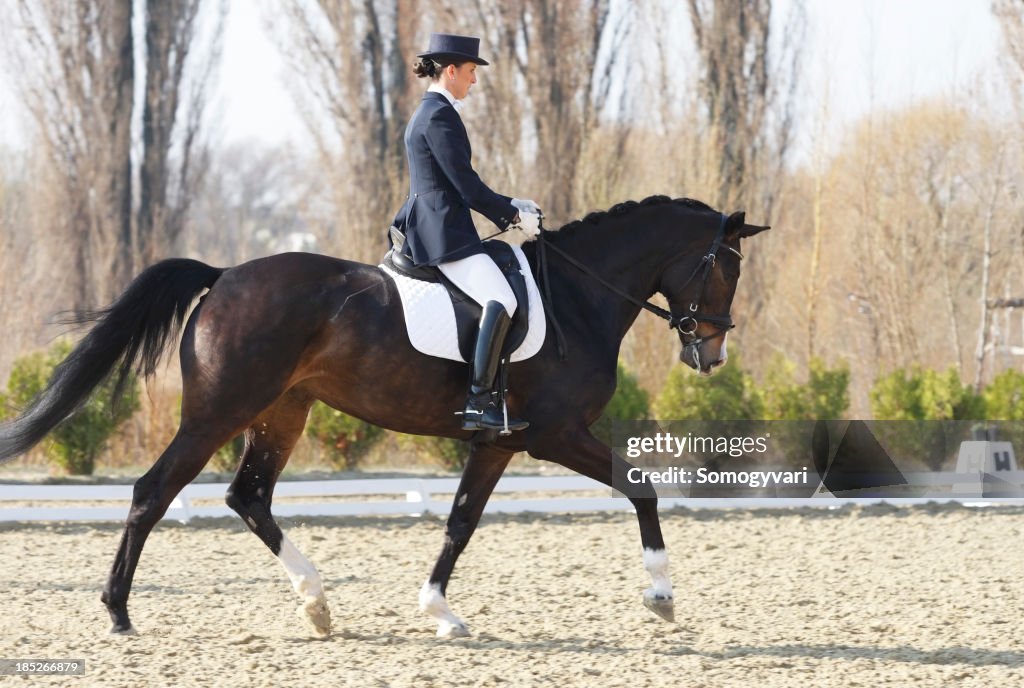 Trot on a dressage competition