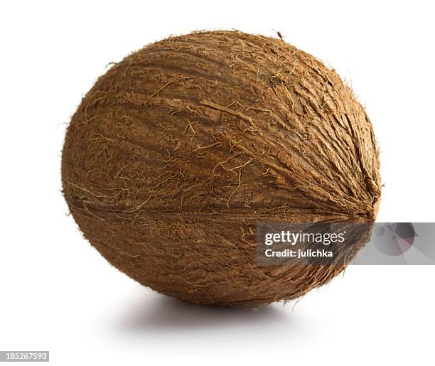 coconut - coconut stock pictures, royalty-free photos & images