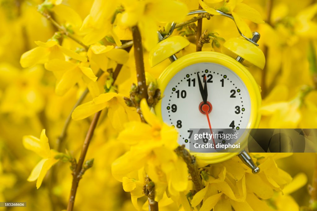 Flowering time