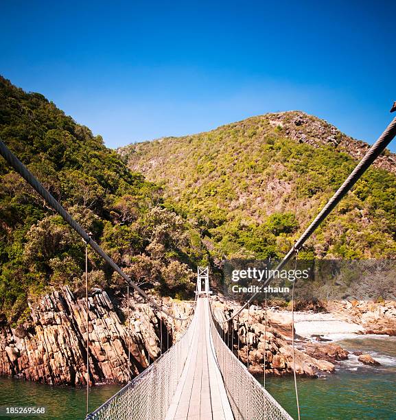 tsitsikamma bridge - garden route south africa stock pictures, royalty-free photos & images