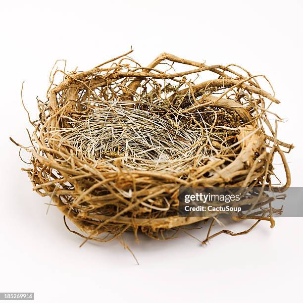nest - easter egg white background stock illustrations