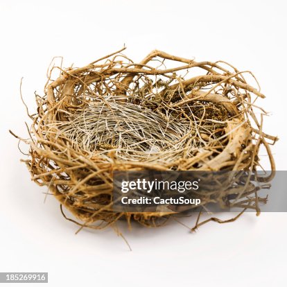 Nest Nest