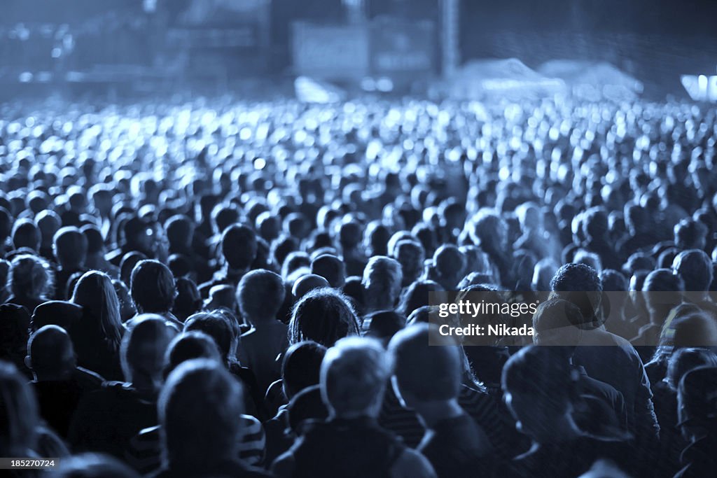 Cheering Concert Crowd