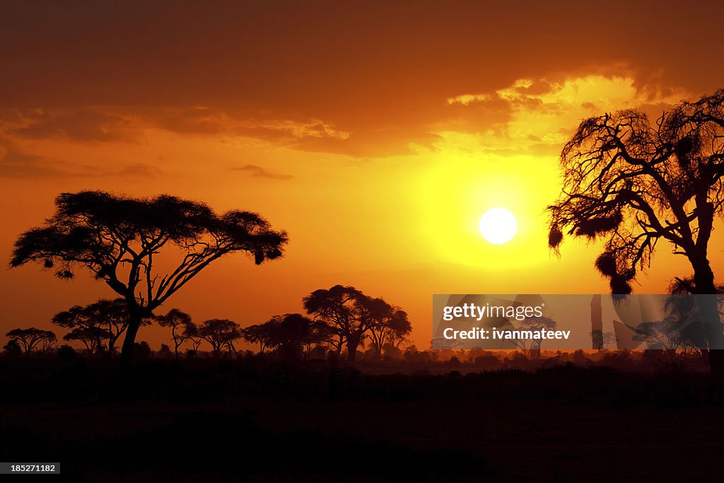 African sunset