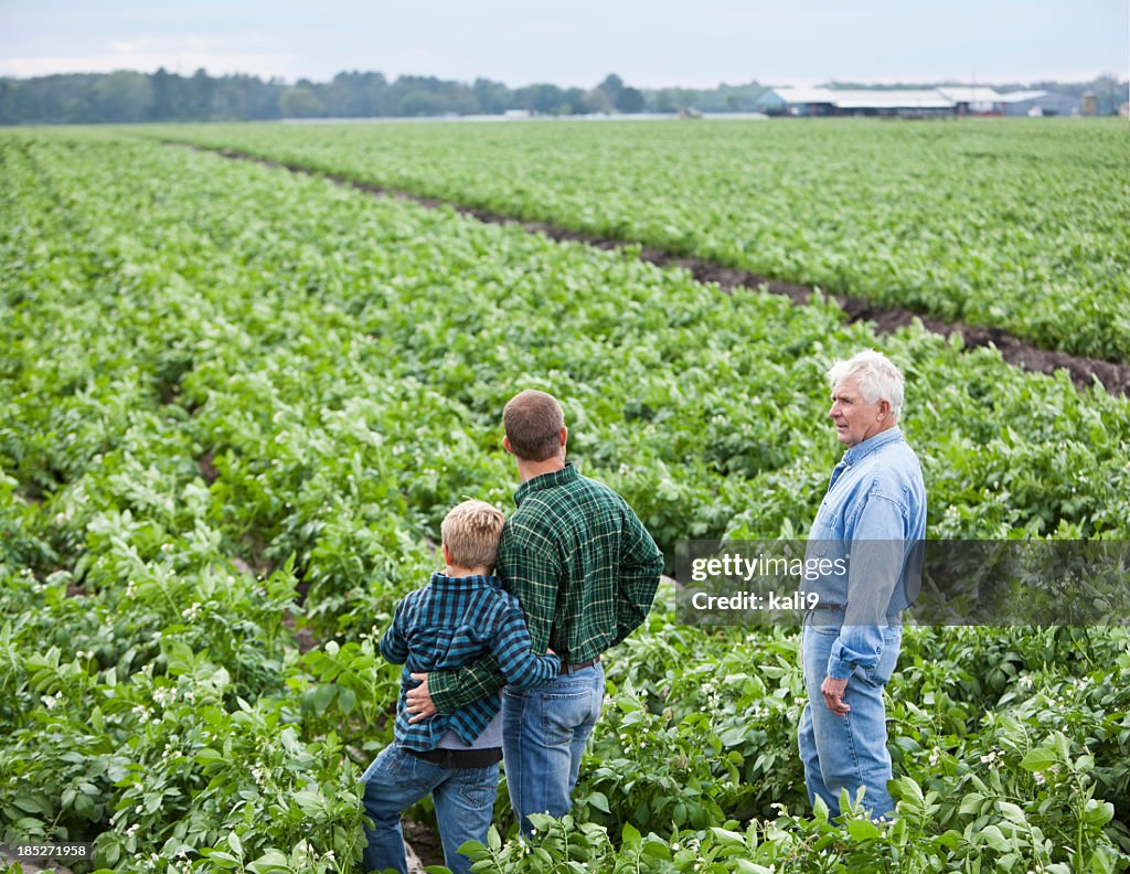 Family farm
