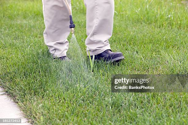 lawn care worker sprays crabgrass - crabgrass stock pictures, royalty-free photos & images