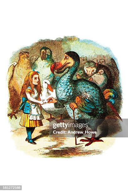 the caucus race - dodo stock illustrations