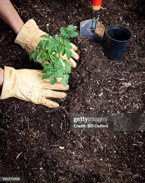 gardening - matjord bildbanksfoton och bilder