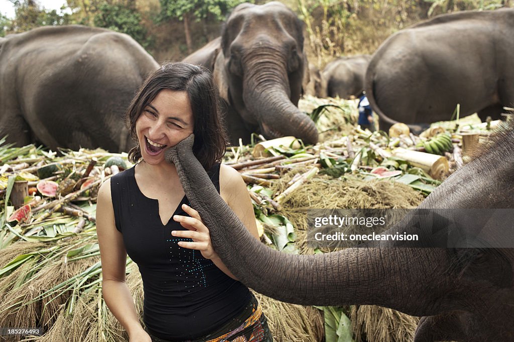 The Elephant Kiss