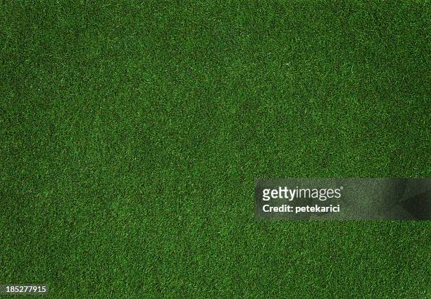 grass - grass stock pictures, royalty-free photos & images