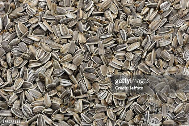 striped sunflower seeds - bird seed stockfoto's en -beelden