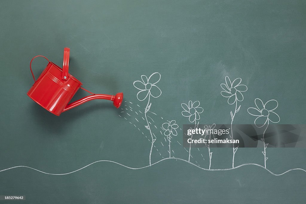 Red Watering Can And Flowers Drawings On Blackboard