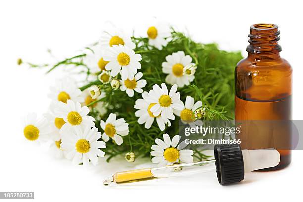 herbal medicine: chamomile - homeopathie stockfoto's en -beelden