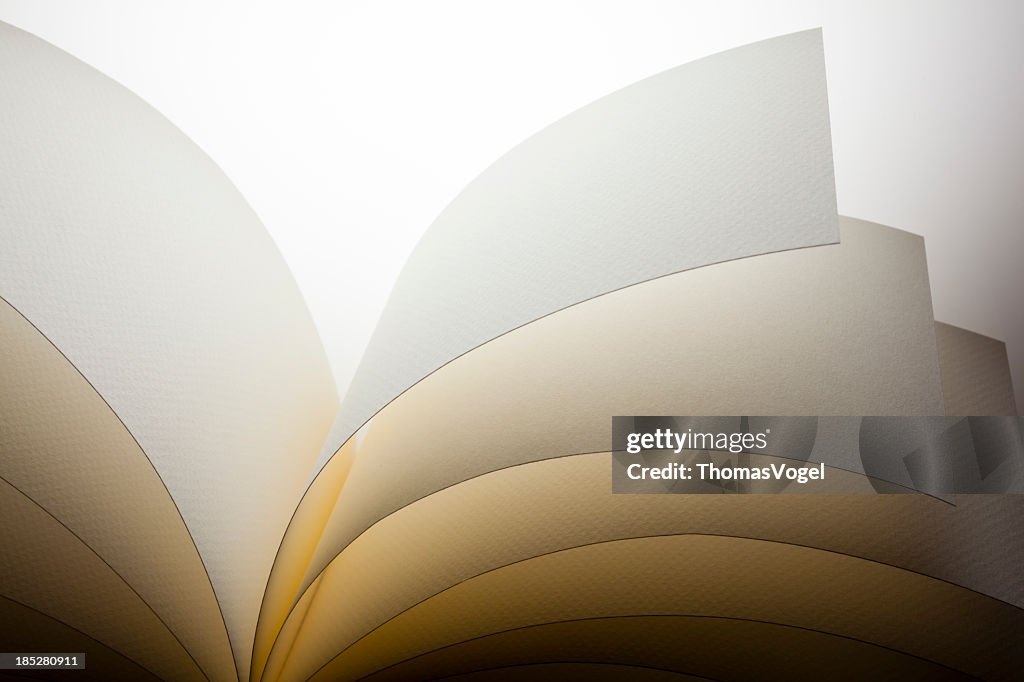 Abstract Paper Background