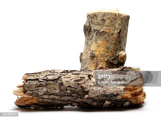 wood - trunk stock pictures, royalty-free photos & images