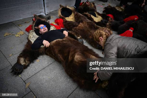 People comming from Romania's historical region of Moldova, Comanesti area, dress-up in bear skins before the start of the second edition of the...