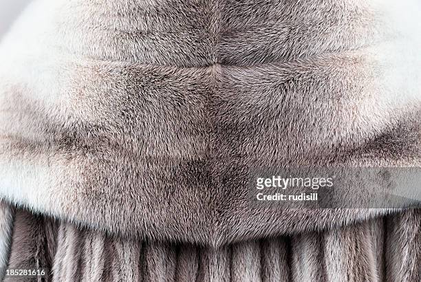 fur - mink fur stock pictures, royalty-free photos & images