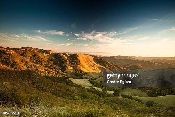 rolling hills im salinas valley, kalifornien - monterey kalifornien stock-fotos und bilder