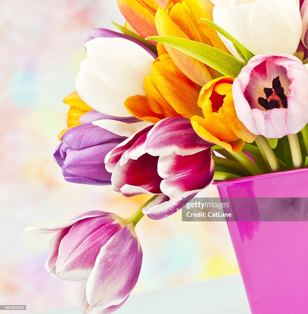 Easter Tulip Bouquet in Pink Pail