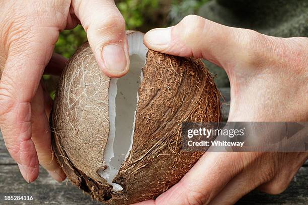 coconut splitting open held in two hands - losbreken stockfoto's en -beelden