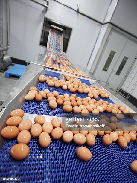 Rgg Washed Egg Wash Photos and Premium High Res Pictures - Getty Images