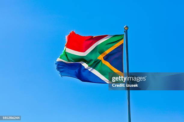 flag of south africa - south africa flag stock pictures, royalty-free photos & images