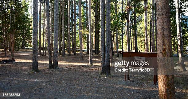 food box in yellowstone campsite - blue bear 個照片及圖片檔