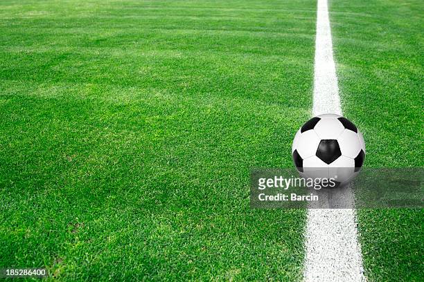 pallone da calcio su erba verde - football background foto e immagini stock