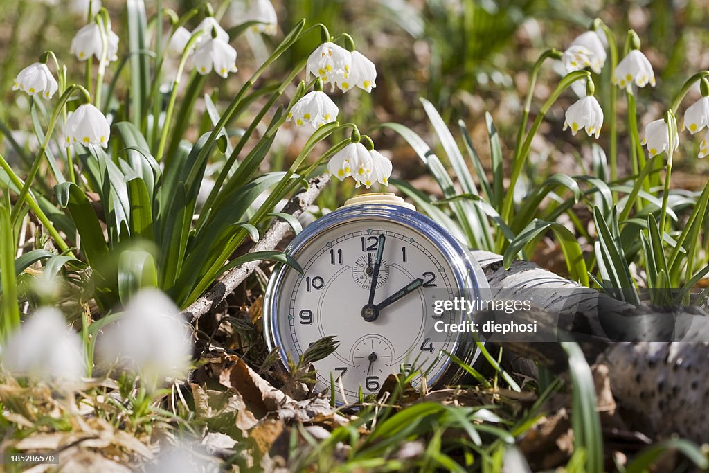 Time of spring flowers