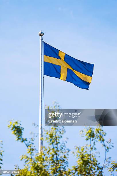 flagge von schweden - sweden flag stock-fotos und bilder