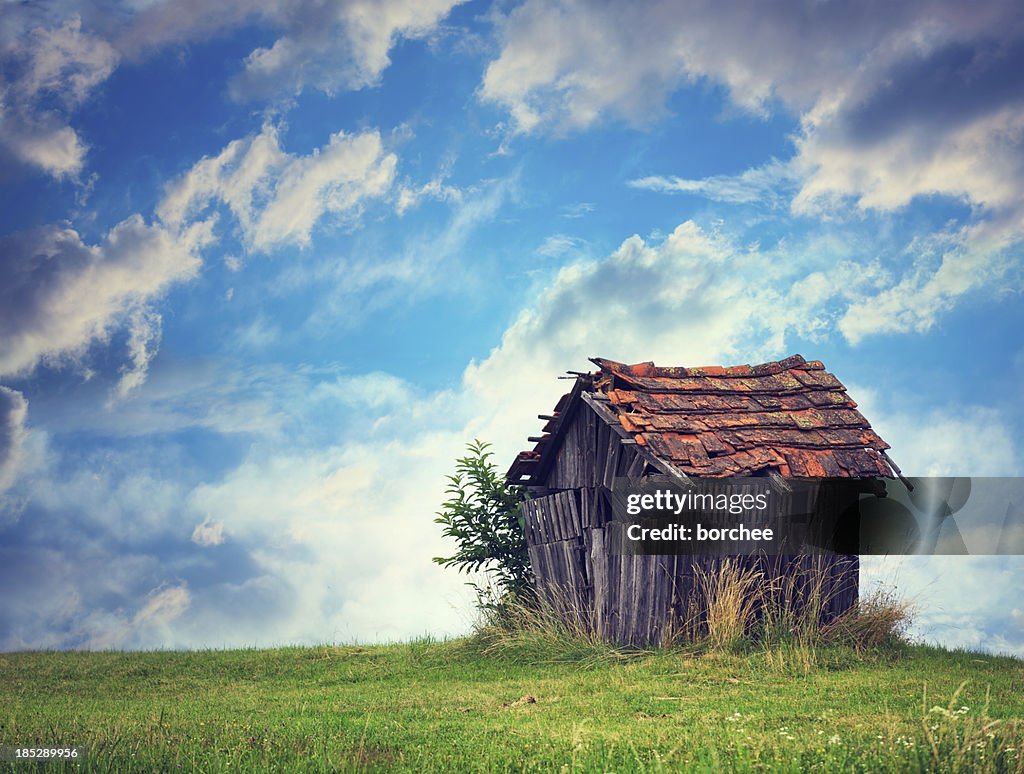 Abandoned Hut