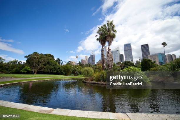 sydney cbd gesehen vom park - königlicher botanischer garten stock-fotos und bilder