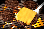 Grilled Burgers