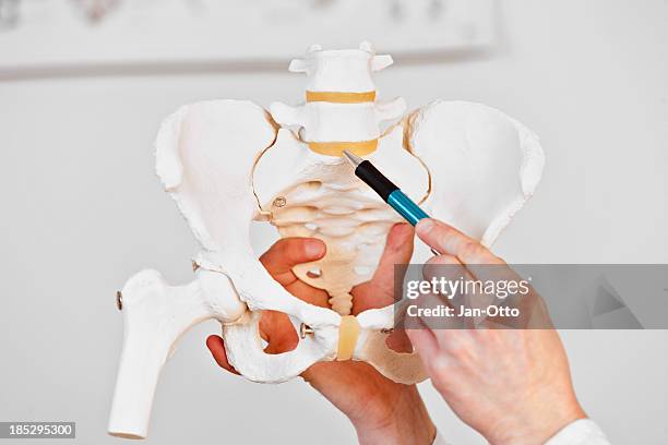 discus l5/s1 - spondylolisthesis stock pictures, royalty-free photos & images