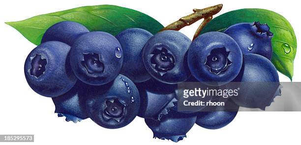 blueberries - blueberry stock illustrations