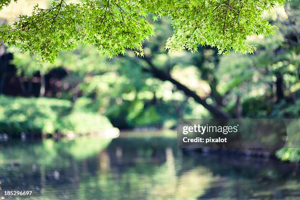 japanese park - pixalot stock pictures, royalty-free photos & images