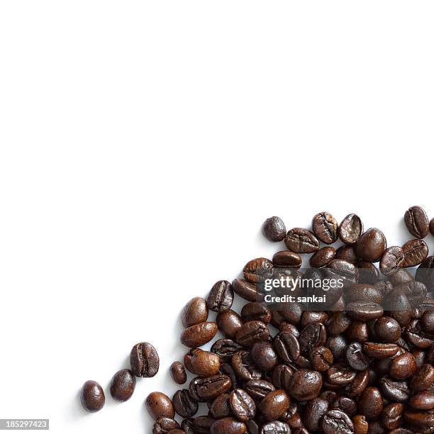 chicchi di caffè isolato su sfondo bianco - coffee crop foto e immagini stock