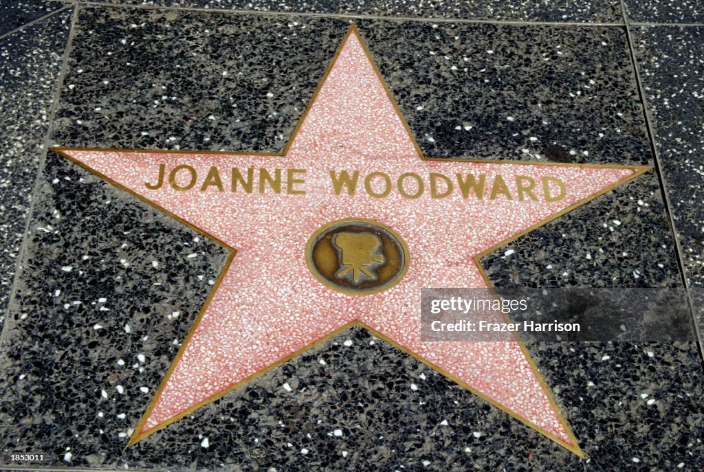 Celebrity Stars In Hollywood