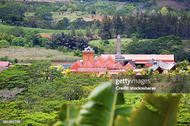 mauritian rum distillery - rum stock pictures, royalty-free photos & images